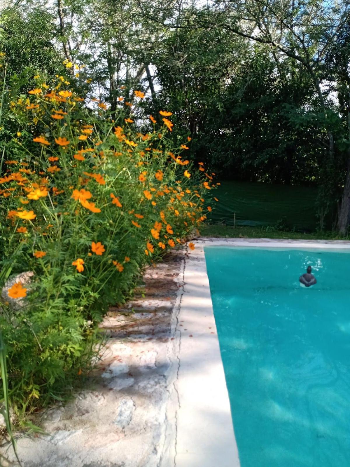 Villa La Isolina Вила Жардино Екстериор снимка
